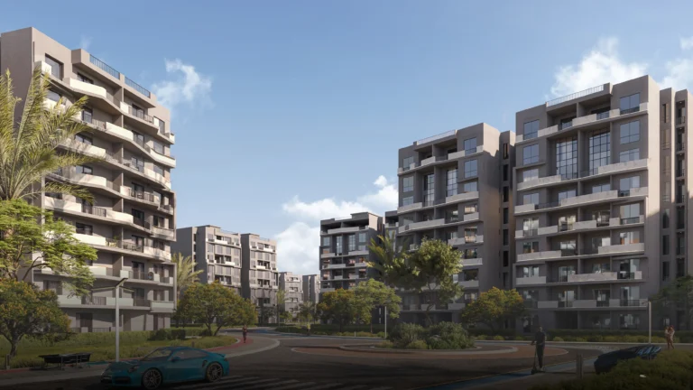 Dejoya 4, 6th of October - developer photography