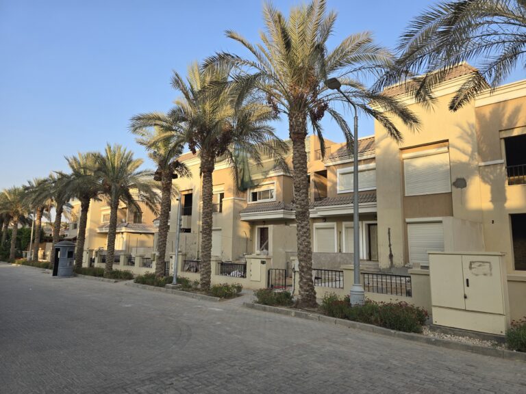 Residential street lined with palms at Sarai, New Cairo